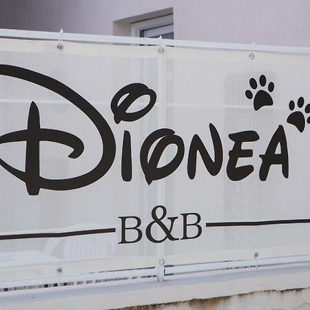 سانتا ماريا دي كاستيلاباتي B&B Dionea المظهر الخارجي الصورة